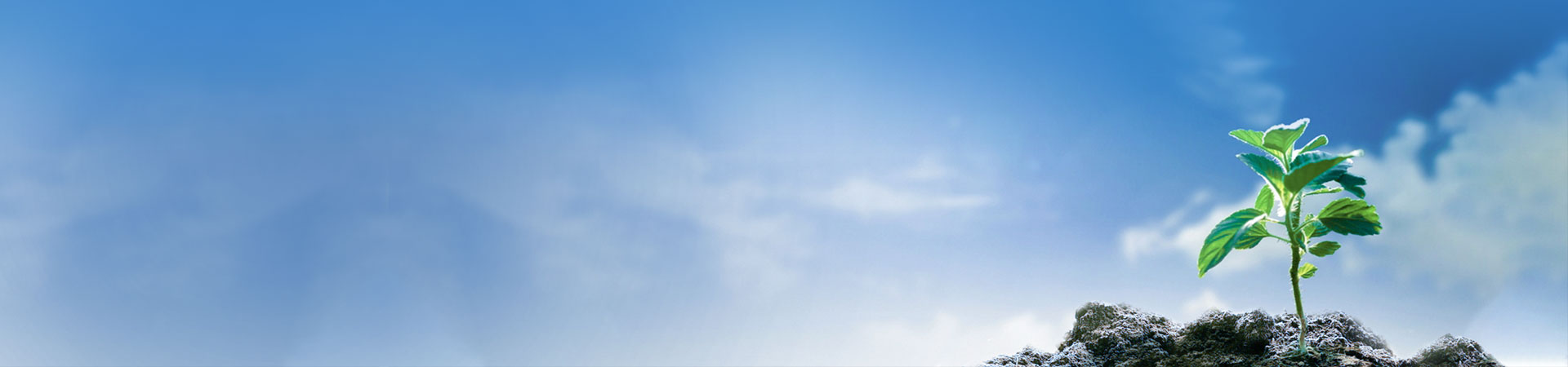鑫泽源动态